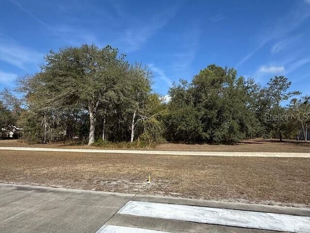 Property Photo:  Lot 7 SW 39th Drive  FL 32054 