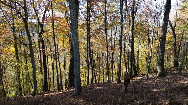 Property Photo:  0 Savannah Dr  TN 37166 