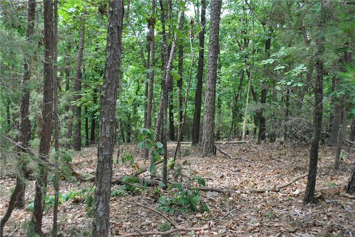 Property Photo:  Lots 87-92 Mockingbird Lane  AR 72756 