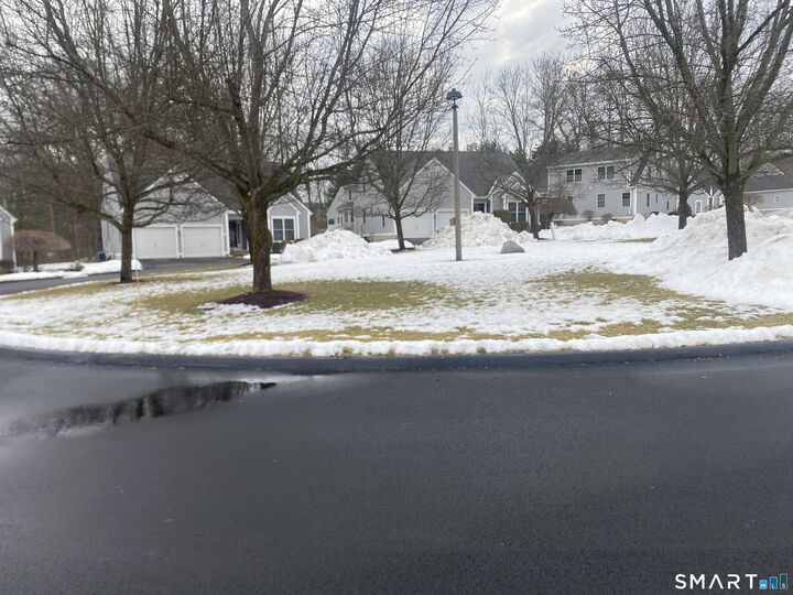 Property Photo:  36 Buckland Street 19  CT 06479 