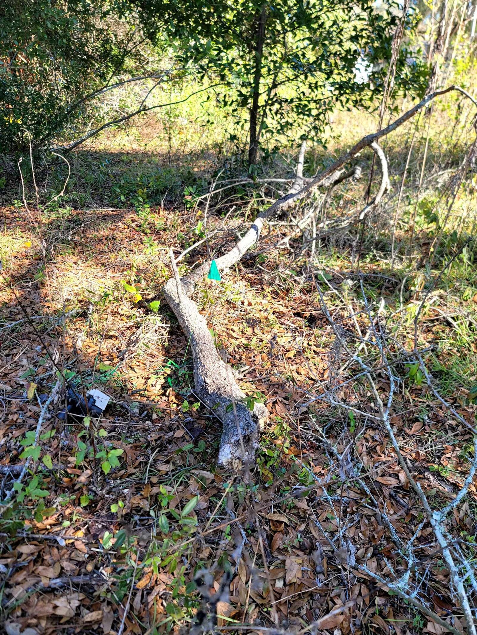 Property Photo:  842 Ridge Road  FL 32305 