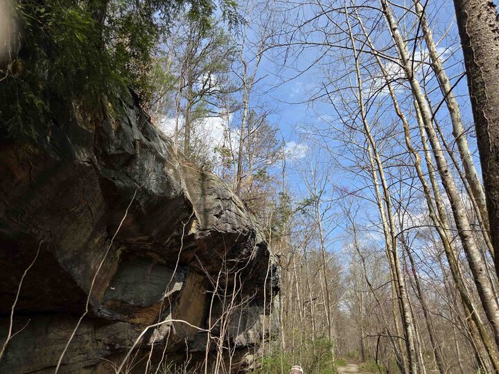 Property Photo:  Kiser Fork Rd  KY 41164 