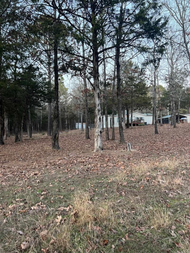 Property Photo:  351 Grady  AR 72153 