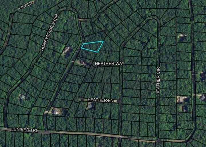 Property Photo:  Blk 27 Lot 22 Honeysuckle Circle  GA 31831 