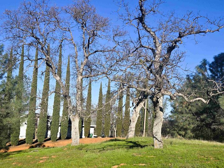 Property Photo:  0 Frio Court  CA 95329 