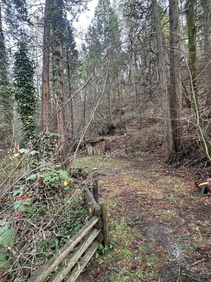 Property Photo:  22895 S Fork Rd.  CA 95383 