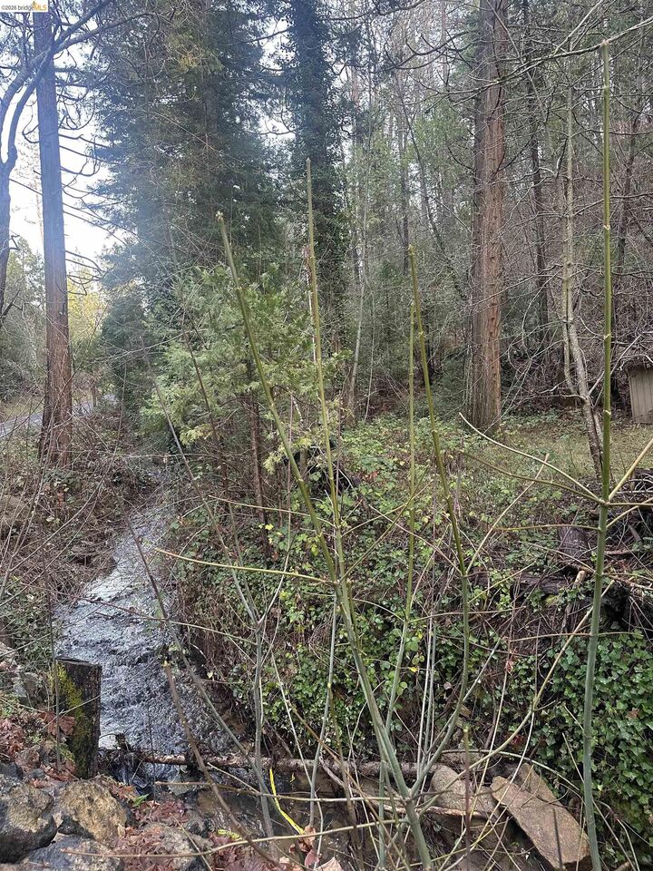 Property Photo:  22895 S Fork Rd.  CA 95383 