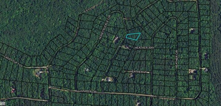 Property Photo:  Blk 33 Lot 06 Juniper Way  GA 31831 