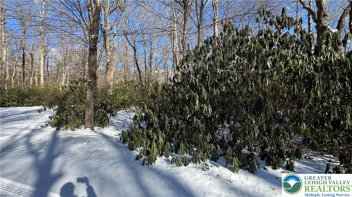 Property Photo:  Oakland Drive  PA 18210 