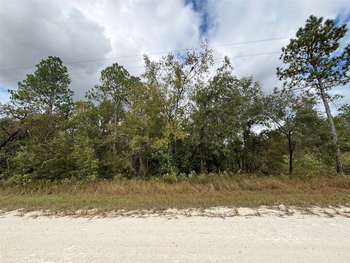 Property Photo:  Lot 11 Red Marlin Avenue  FL 34614 