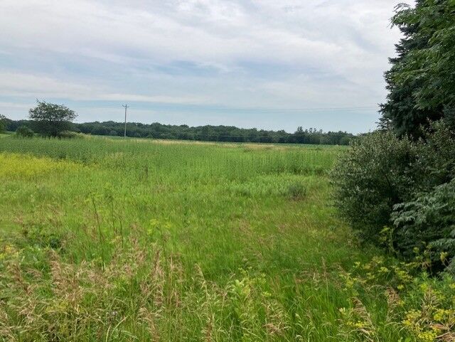 Property Photo:  Lot 2 Timberline Drive  IL 61326 