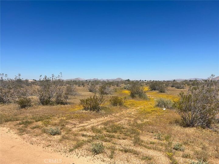 Property Photo:  20 Matawan  CA 92307 