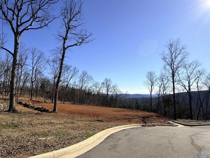 Property Photo:  85 Watson Grande Way NE  AL 35763 