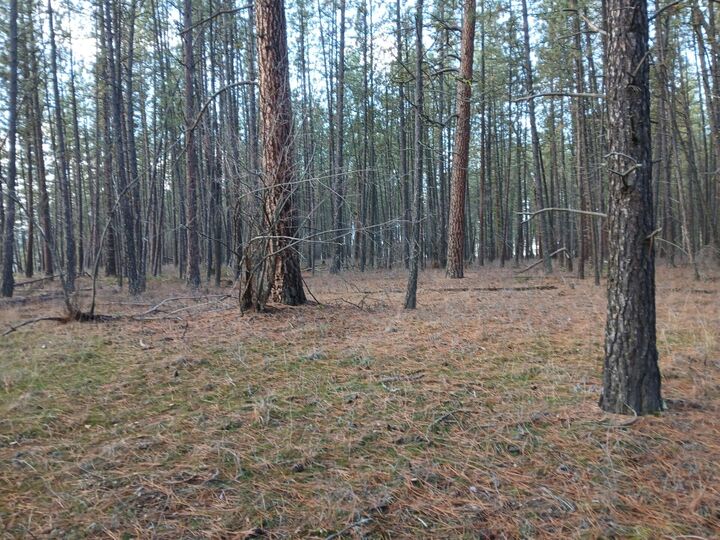 Property Photo: 20xx Ray Anderson Rd WA 99141