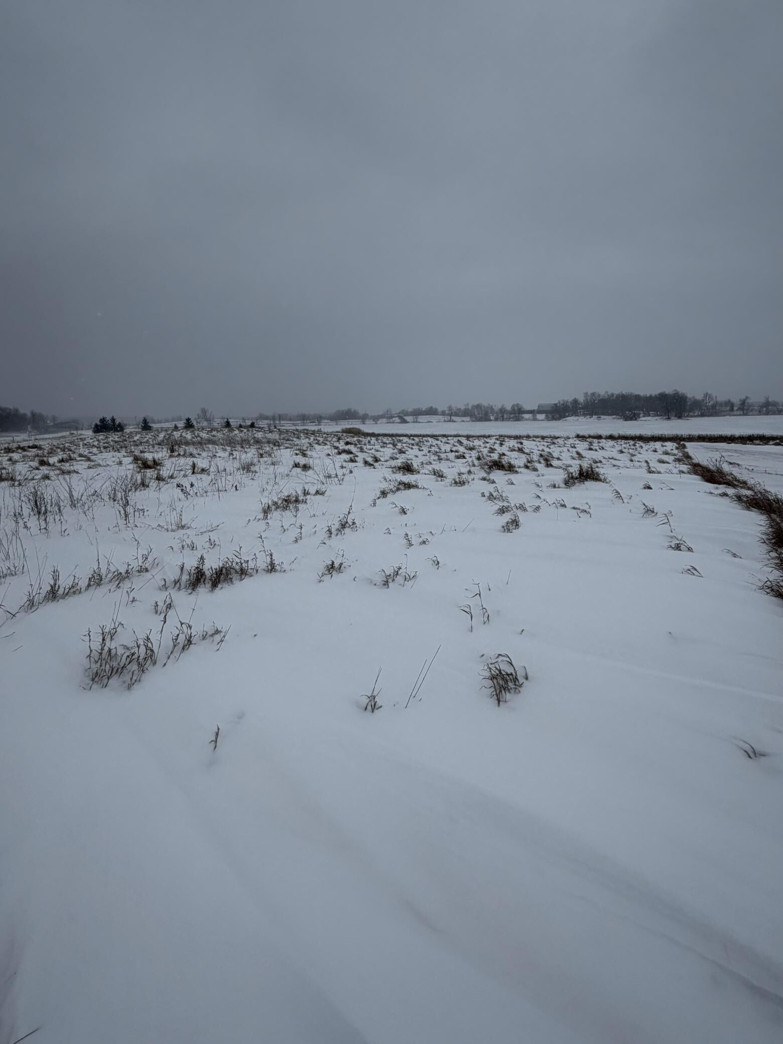 Property Photo:  Tbd 395th  MN 56528 