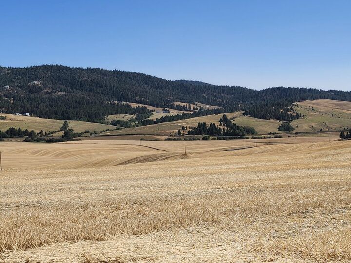 Property Photo:  S 8006 Jackson Rd  WA 99023 