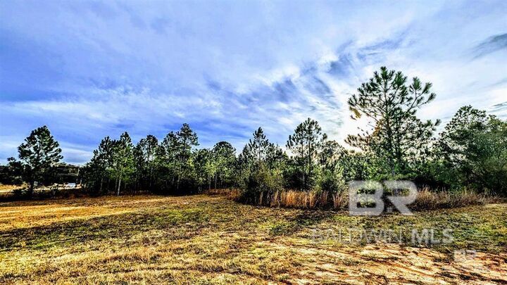 Property Photo: 0 Royal Lane AL 36530