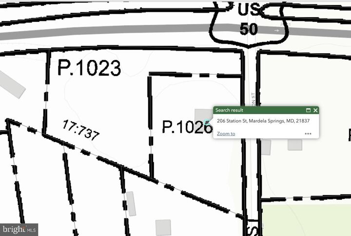 Property Photo:  206 Station Street  MD 21837 