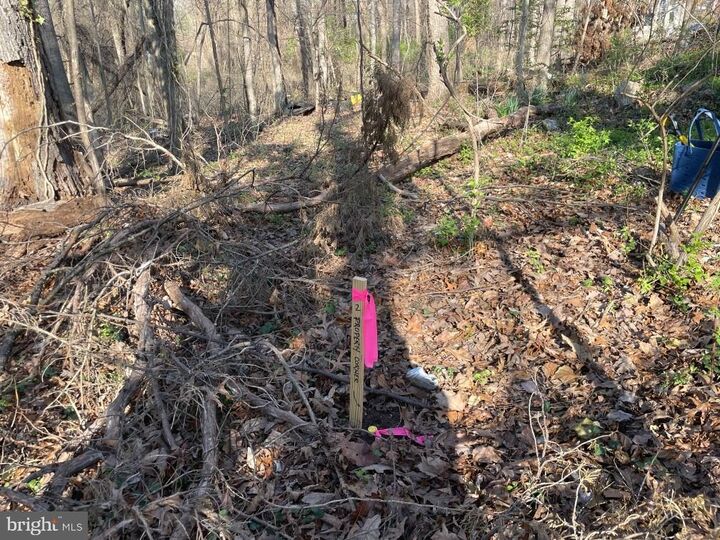 Property Photo:  Riverdale Road  MD 20706 