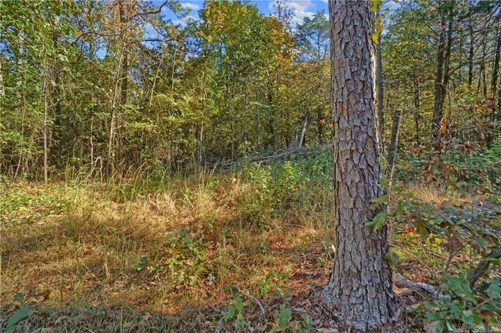 Property Photo:  Lot 6 Melvin Ln.  AR 72837 