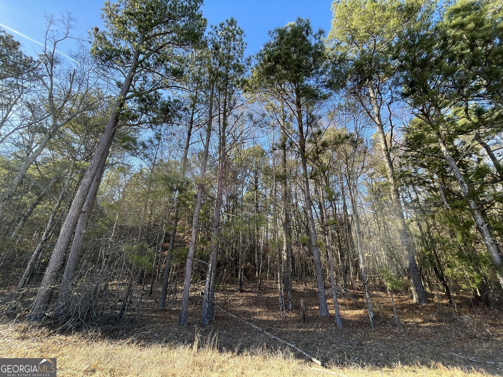 Property Photo: 13 Ac S Highway 81 GA 30016