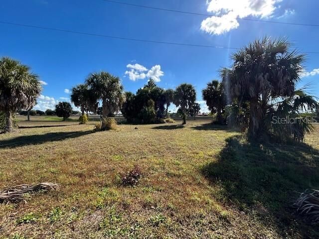 Property Photo:  16260 Juarez Court  FL 33955 