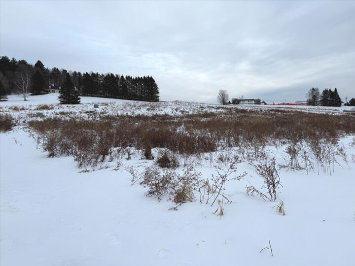 Property Photo: 0 L Brown Drive VT 05602