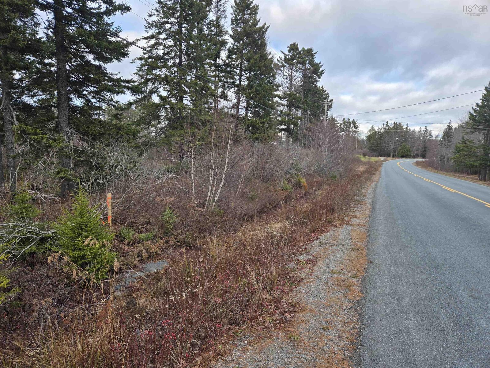 Property Photo:  Lot P-2 Mount Pleasant Road  NS B0R 1G0 