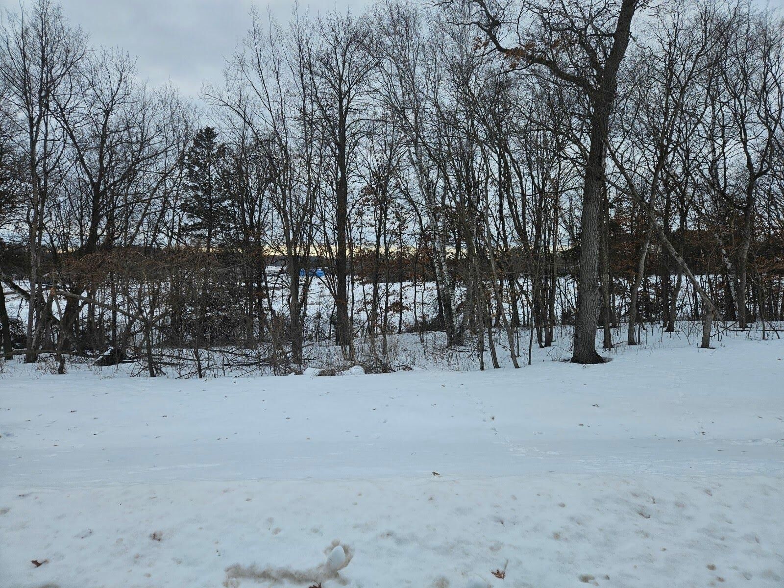 Property Photo:  Lot 3, Block 3 2 1/2 Avenue NE  MN 56375 