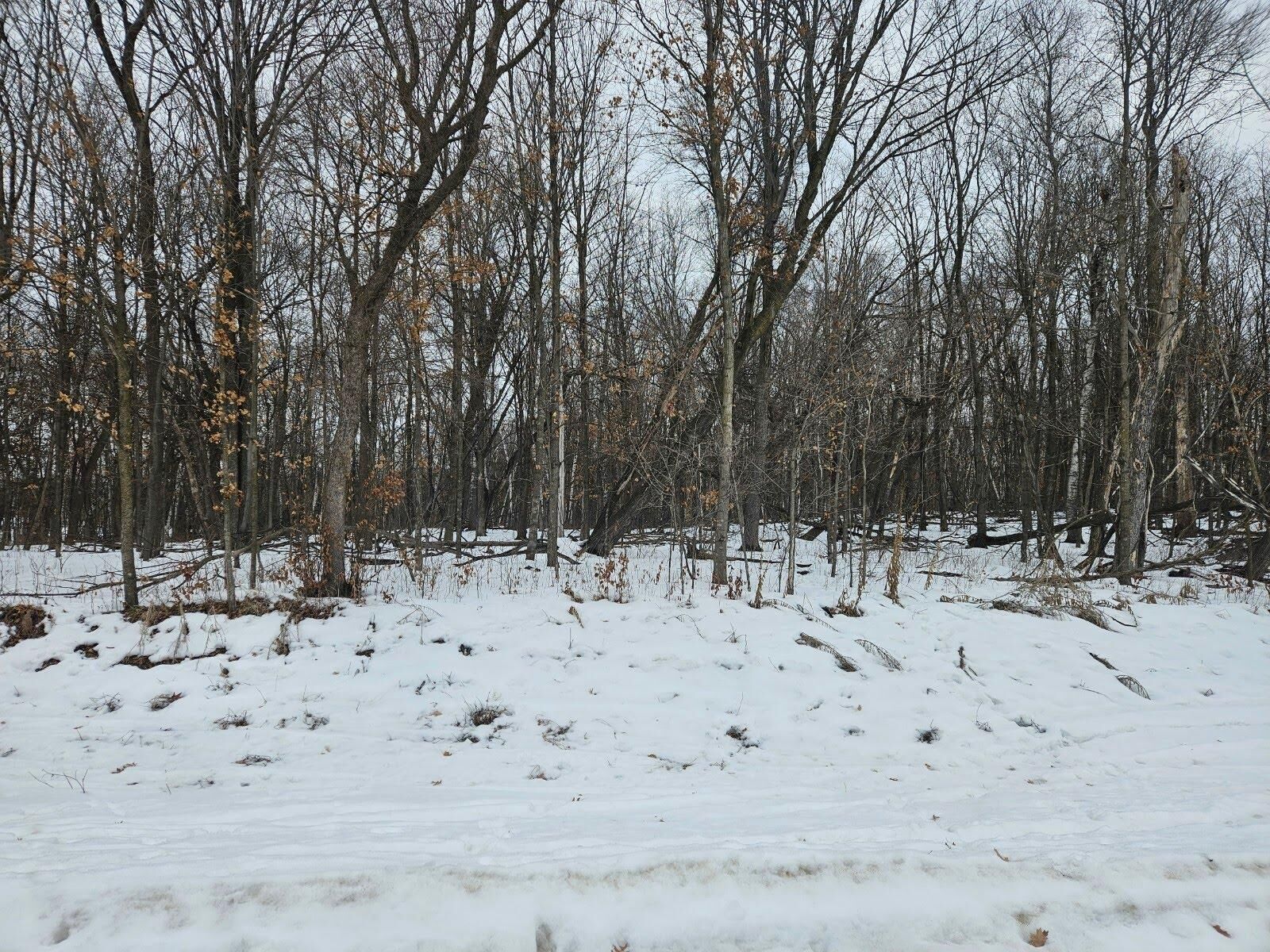 Property Photo: Lot 2, Block 2 2 1/2 Avenue NE MN 56375