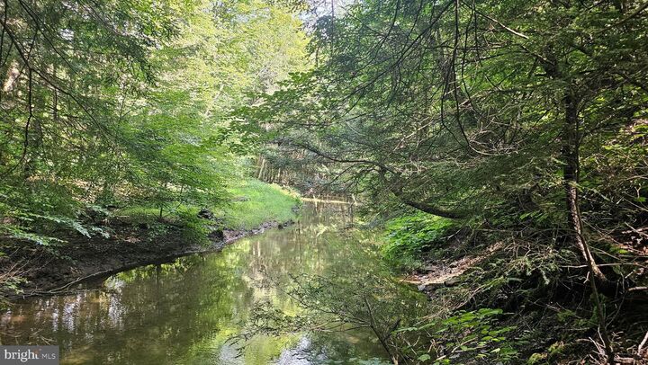 Property Photo:  69.90 Acres Mahaffey Grampian Highway  PA 15757 