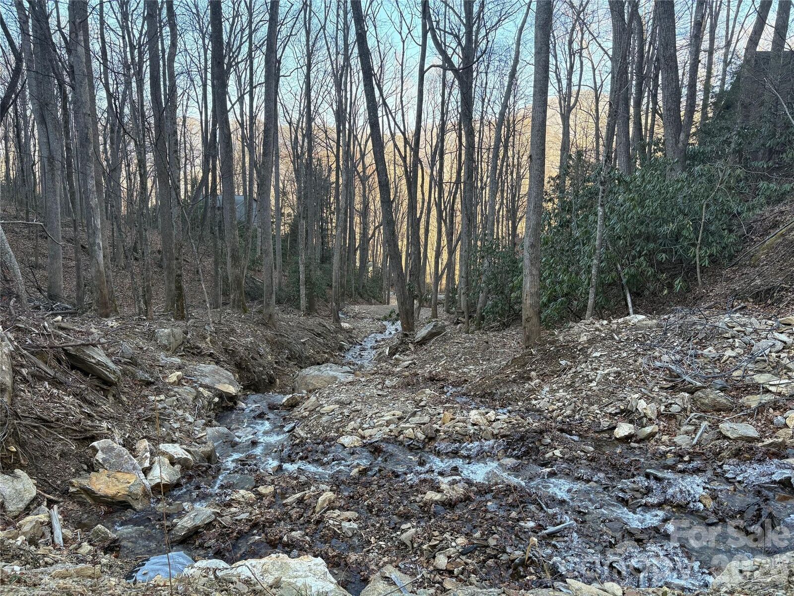 Property Photo:  Tbd Thrush Drive 20  NC 28751 