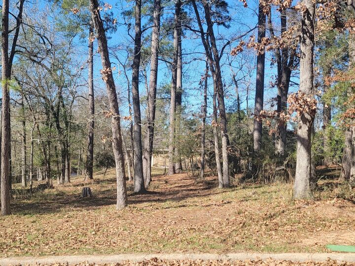 Property Photo:  1909 Rollingwood Drive  TX 77340 