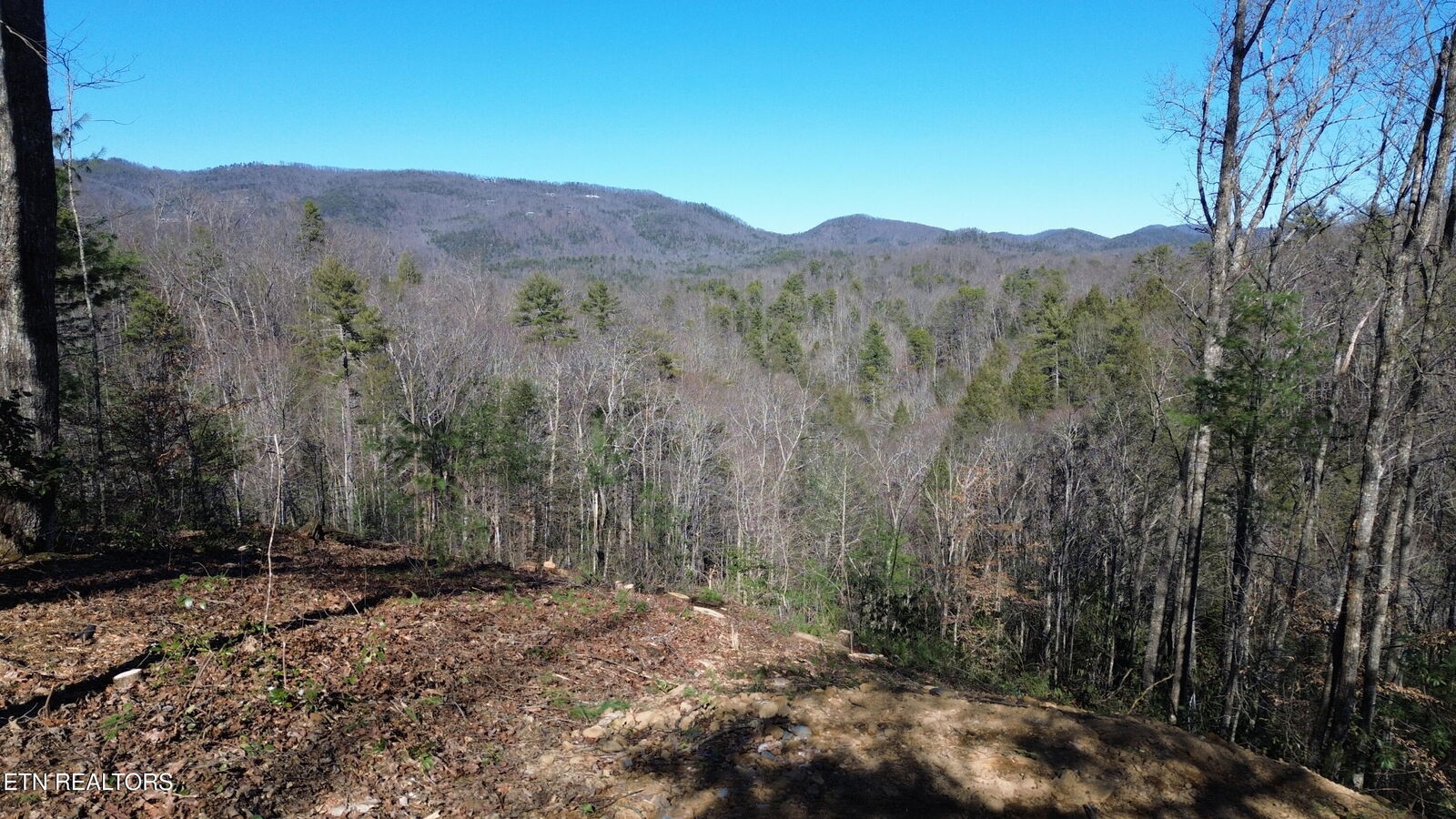 Property Photo:  Lot# 6 Taylors Ridge (Journeys End ) Rd  TN 37886 