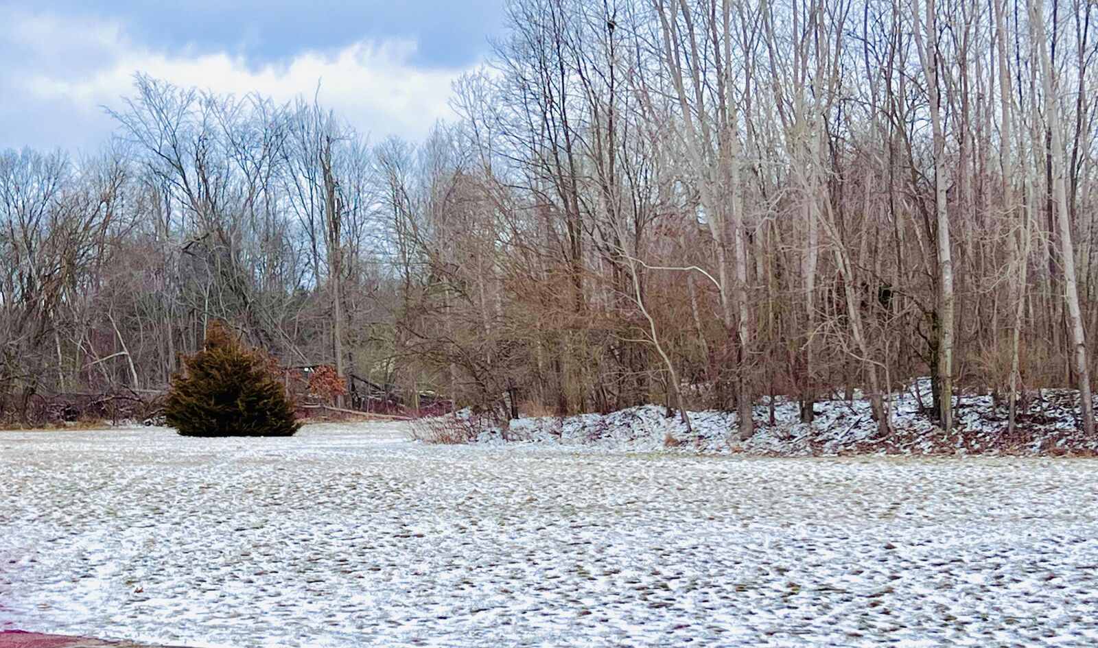 Property Photo:  56660 Tanner Trail  MI 49093 