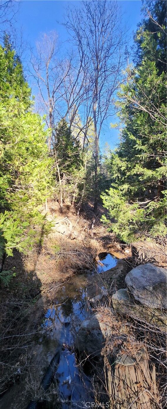 Property Photo:  0 Meadow Drive  CA 92352 