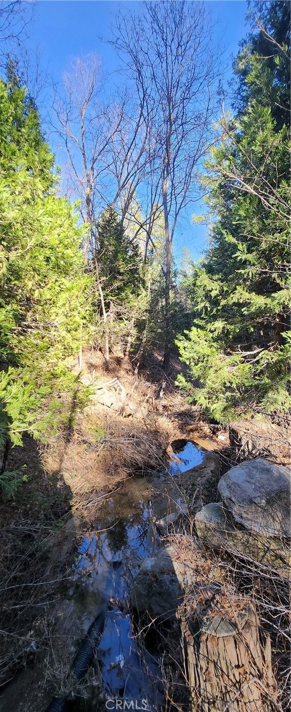 Property Photo: 0 Meadow Drive CA 92352