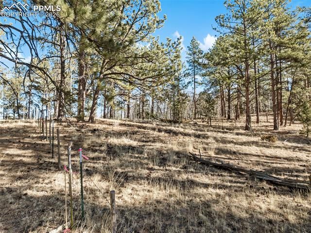 Property Photo: Lot 20 Echo Lake Drive CO 80827