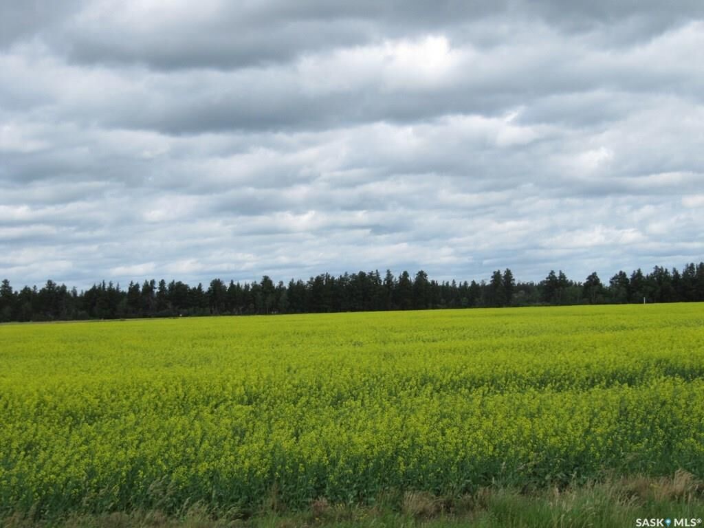 Property Photo:  Rural Address  SK S0E 1E0 