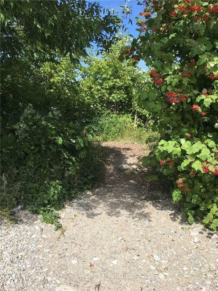 Property Photo:  81 Bayshore Drive  ON L0K 1B0 