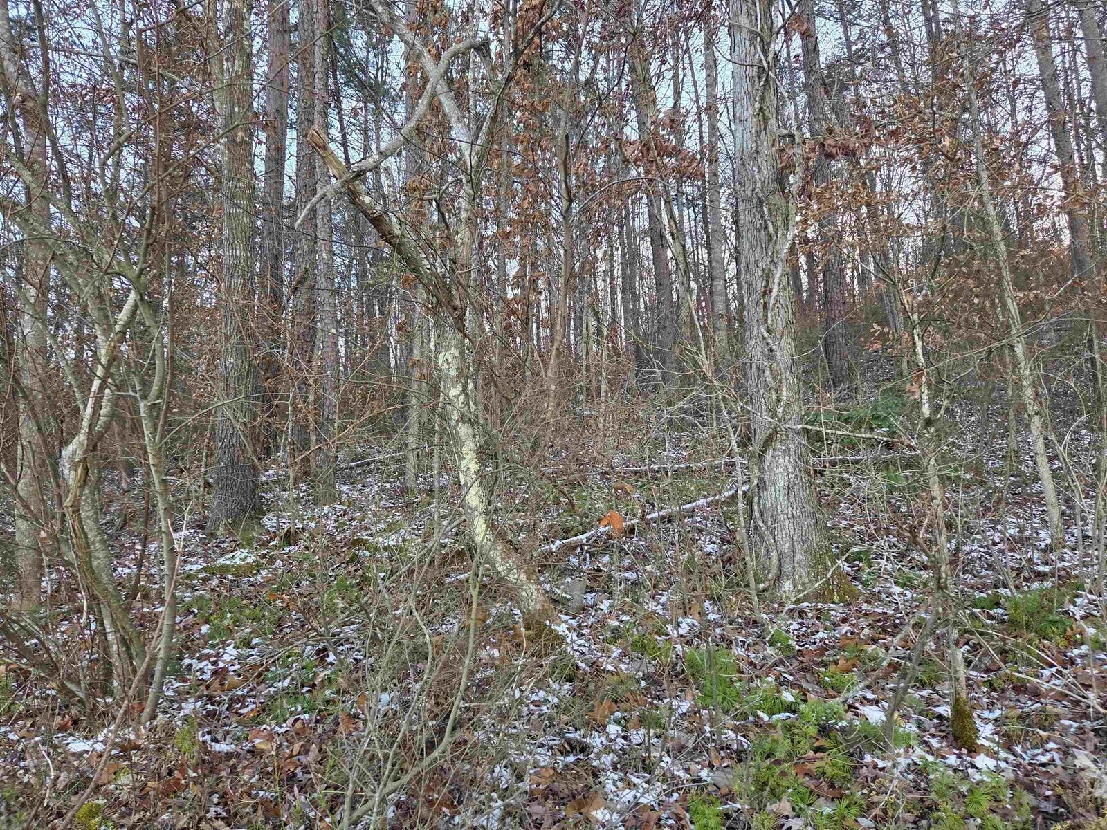 Property Photo: D Street KY 41230