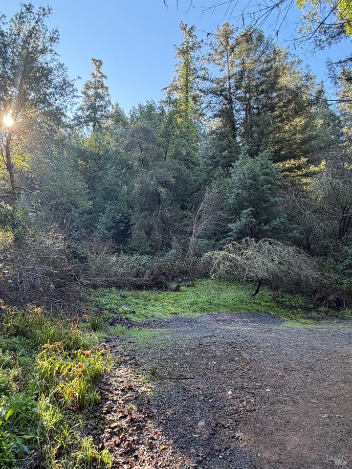 Property Photo:  136 Lagunitas Road  CA 94938 