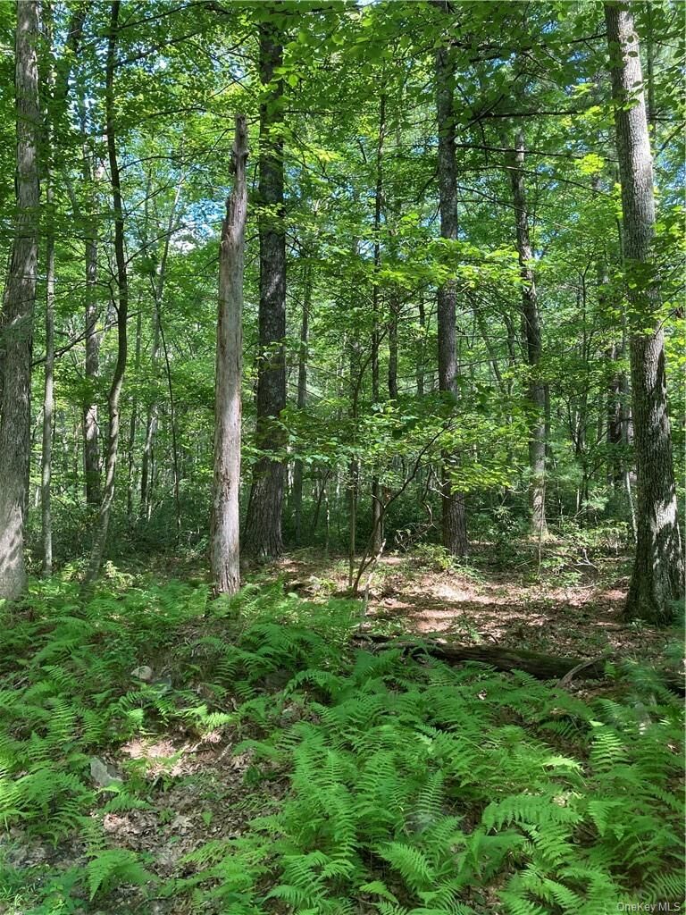 Property Photo: Allen Road NY 12790