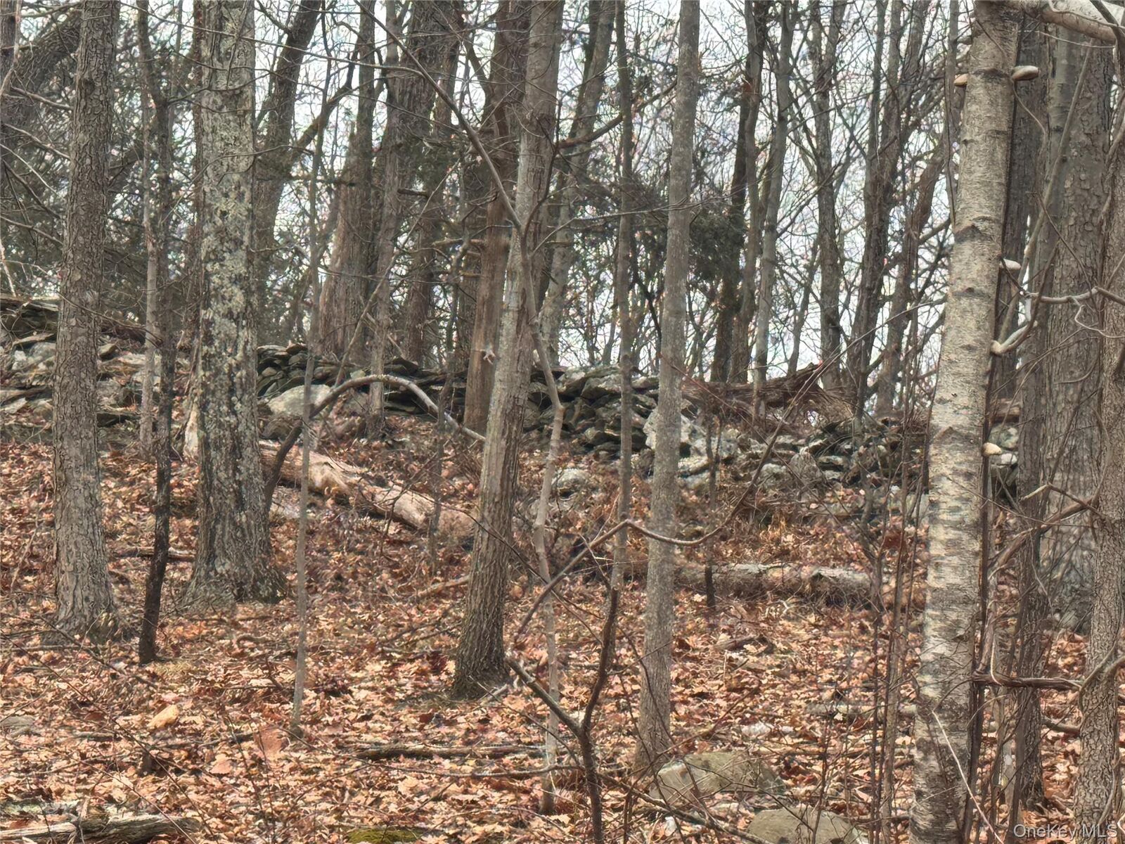 Property Photo: 17 Vanessa Lane NY 12580
