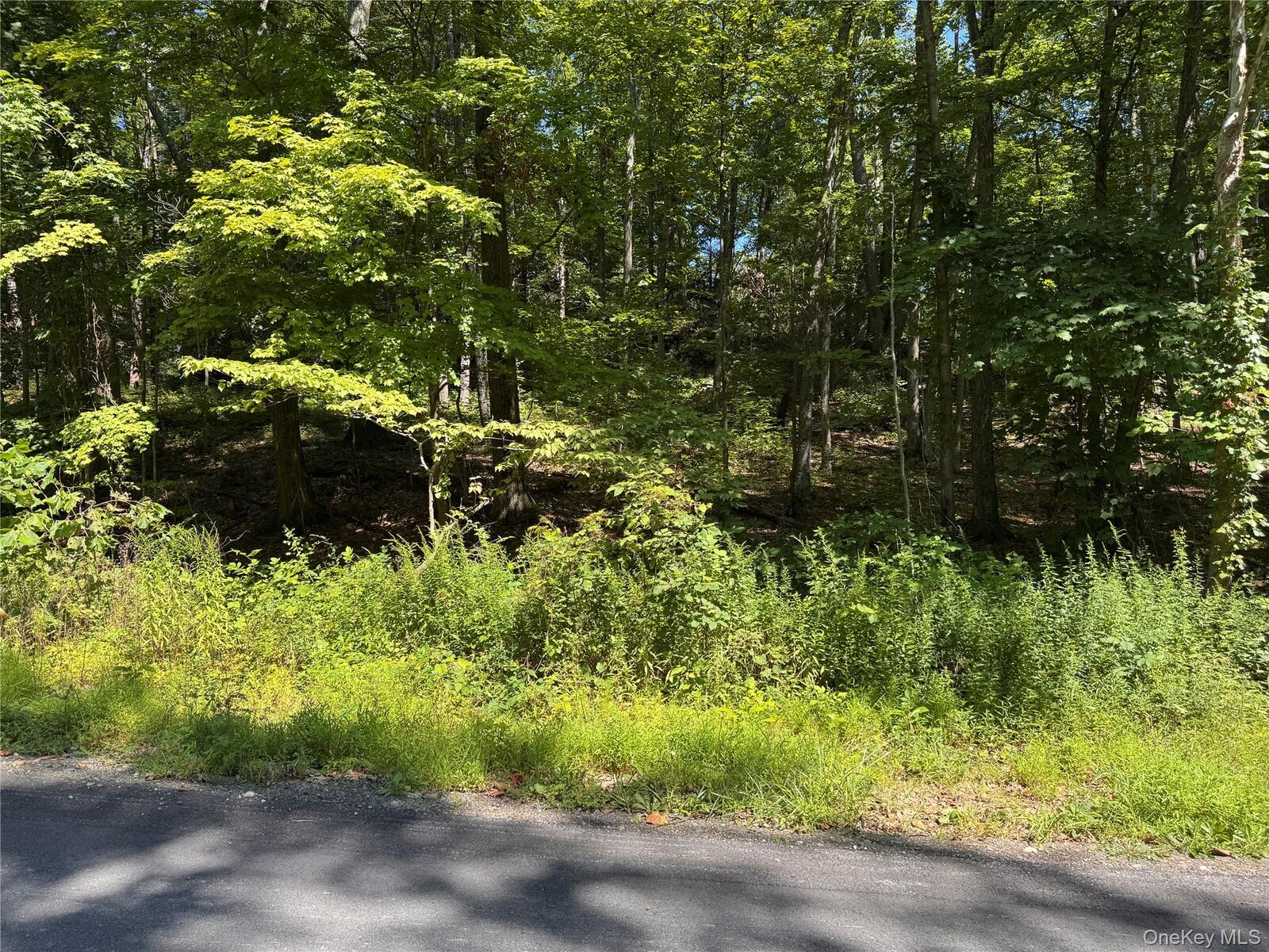 Property Photo: 17 Vanessa Lane NY 12580