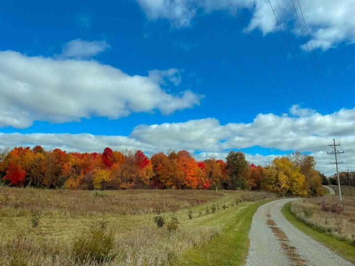 Property Photo:  10001 Pioneer Road  MI 49266 