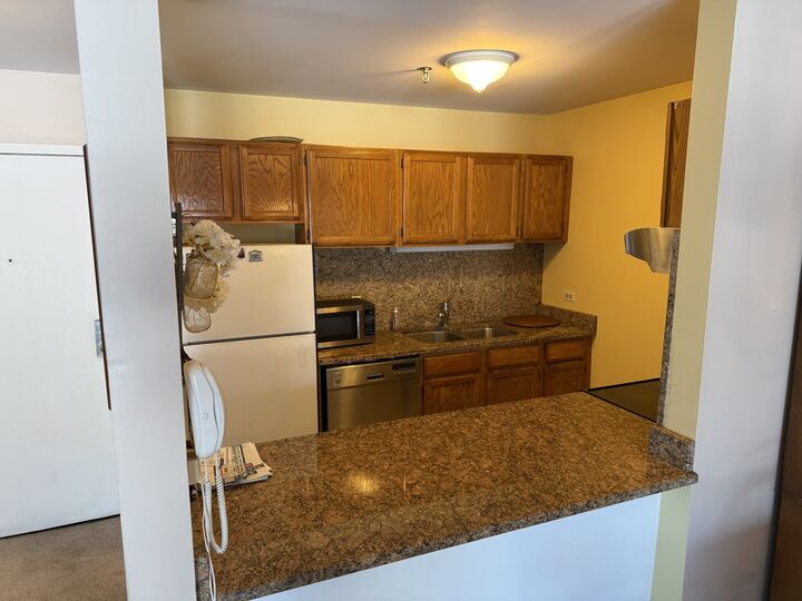 Property Photo:  3265 Kirchoff Road 116  IL 60008 