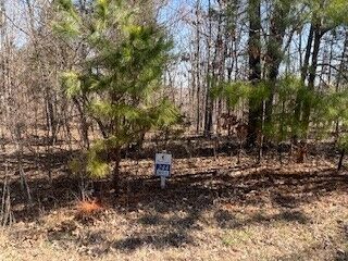 Property Photo:  Lot 244 Parrish Ridge Lane  IL 62939 