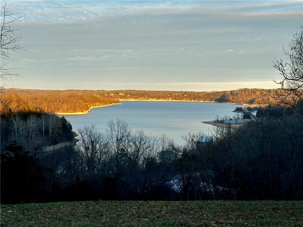 Property Photo:  Lot 21 Anchor Drive  AR 72756 