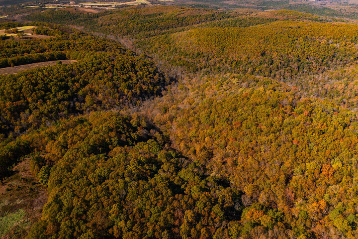 Property Photo:  000 Tbd St Hwy Jj  MO 65672 